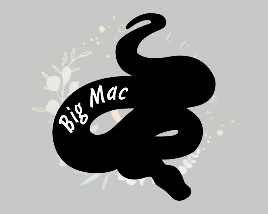 Ball Python Custom Name Decal | Custom Tank Decal - Etsy