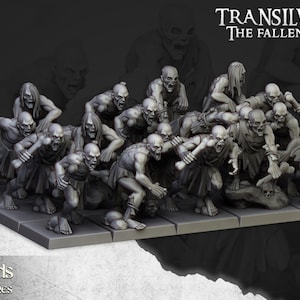 Può includere: Una collezione di miniature grigie che raffigurano creature scheletriche curve con abiti logori, disposte su una base rettangolare. Il testo Transilvanya The Fallen Realm è visibile nell'angolo in alto a destra, con Highlands Miniatures sotto.