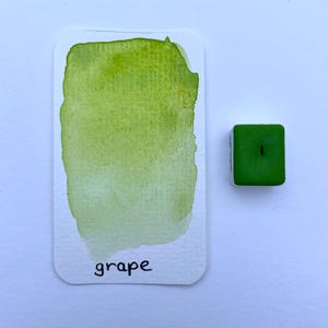 GRAPE - Handmade watercolor paint
