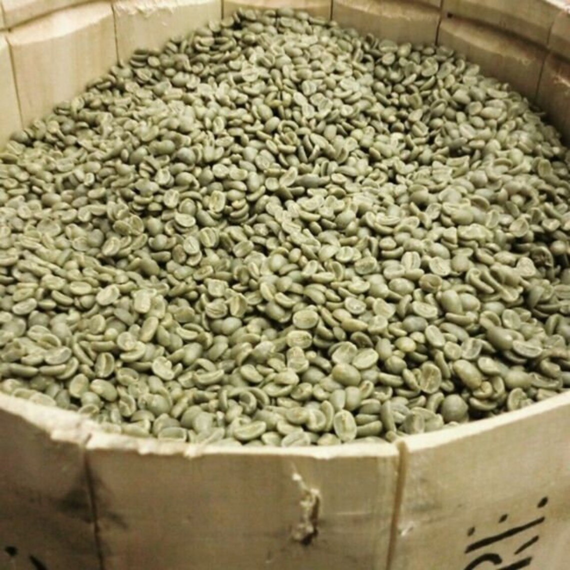 Jamaican Green Coffee Beans Jamaica Blue Mountain Unroasted Etsy