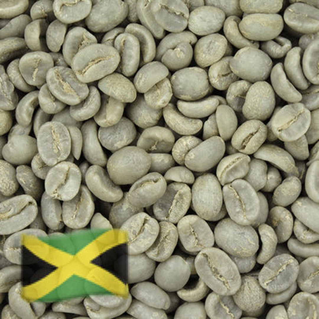 Jamaican Green Coffee Beans Jamaica Blue Mountain Unroasted Etsy