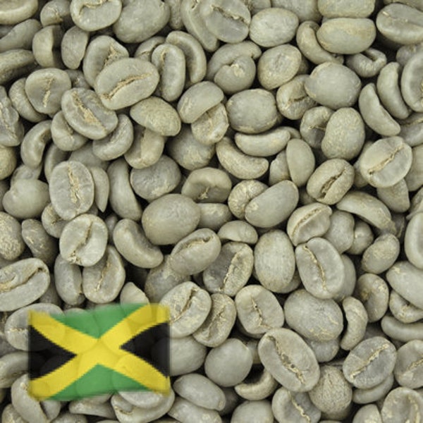 Jamaican Green Coffee Beans - Jamaica Blue Mountain Unroasted