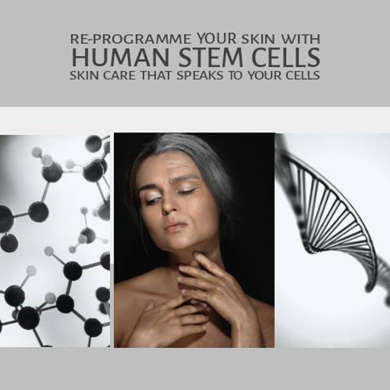 Stem Cell Human SKIN REPROGRAMMING SERUM Etsy