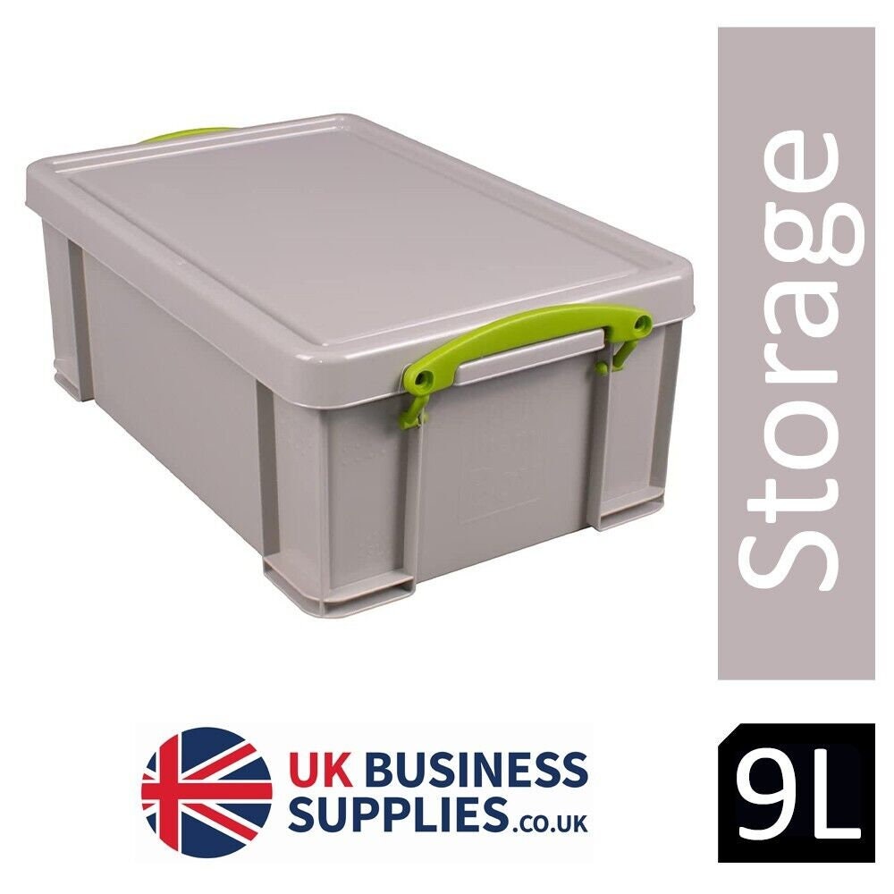 Really Useful Box Plastic Storage 4 Litre With 2 X Hobby Dividers