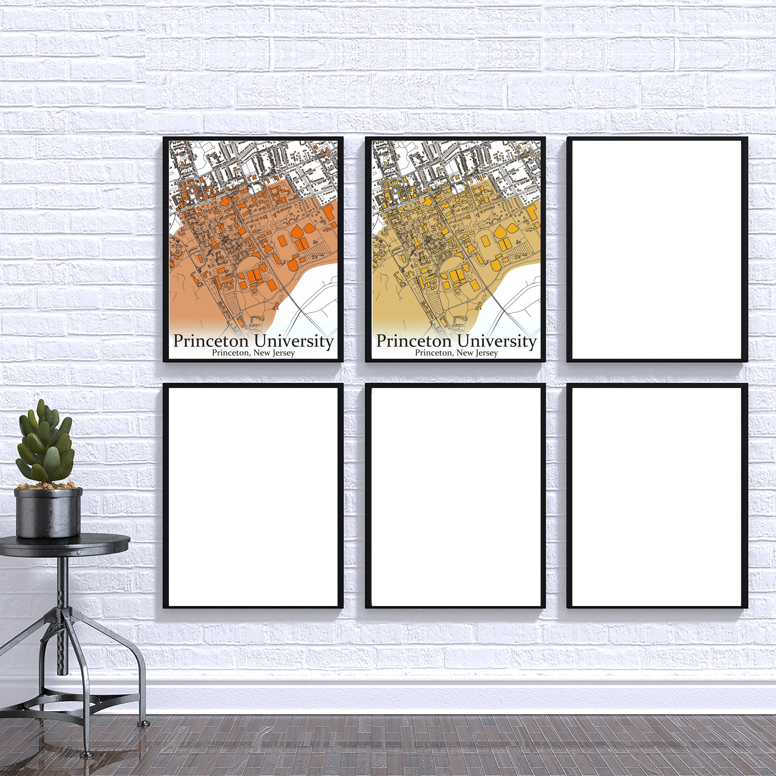 Colored Campus Map of Princeton University and All Its Roads - Etsy