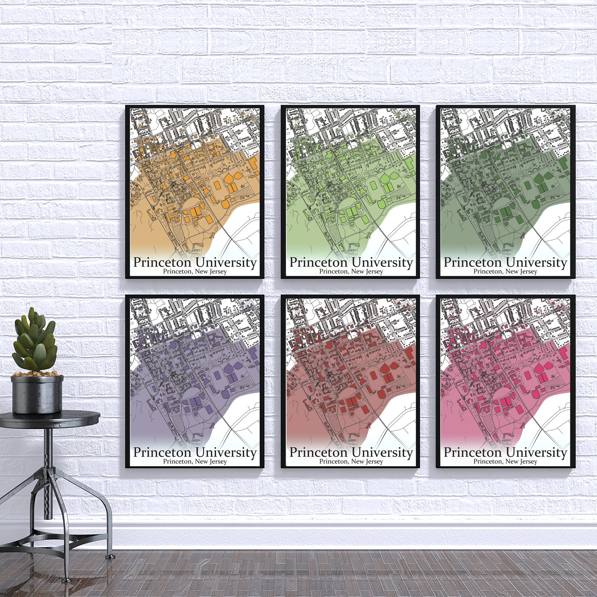 Colored Campus Map of Princeton University and All Its Roads - Etsy