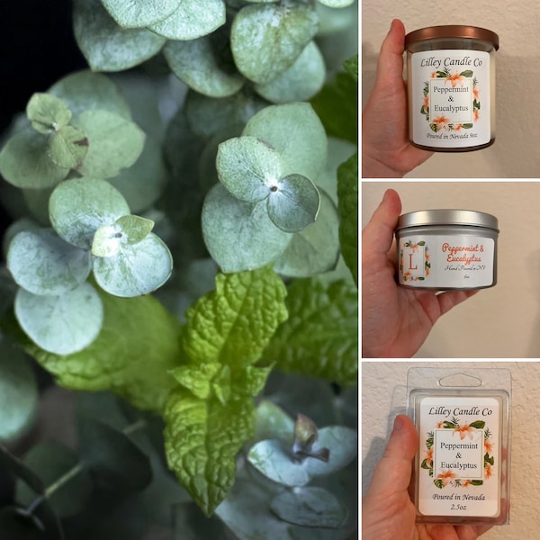 Peppermint & Eucalyptus Soy Wax Candle and Wax Melt/Tarts