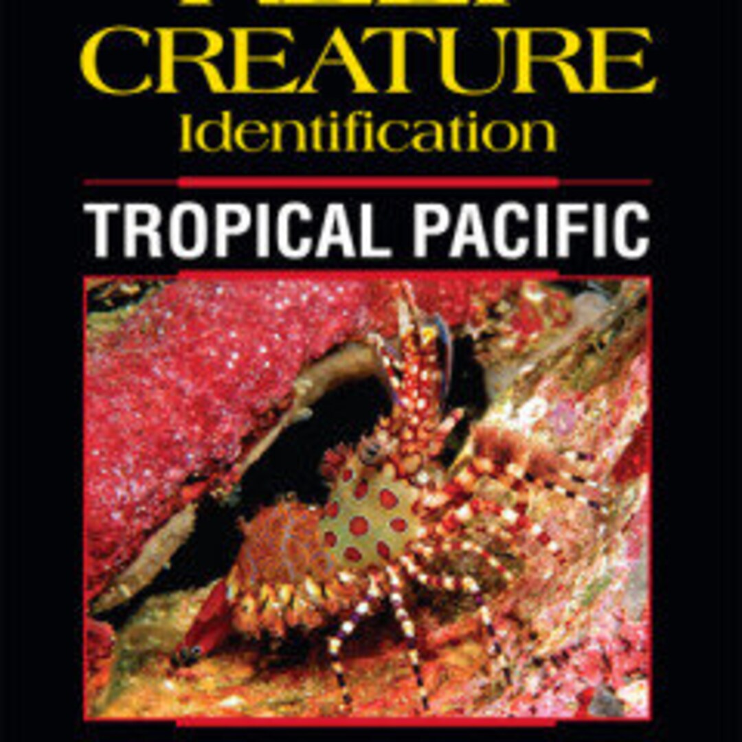 Reef Creature Identification Tropical Pacific Etsy