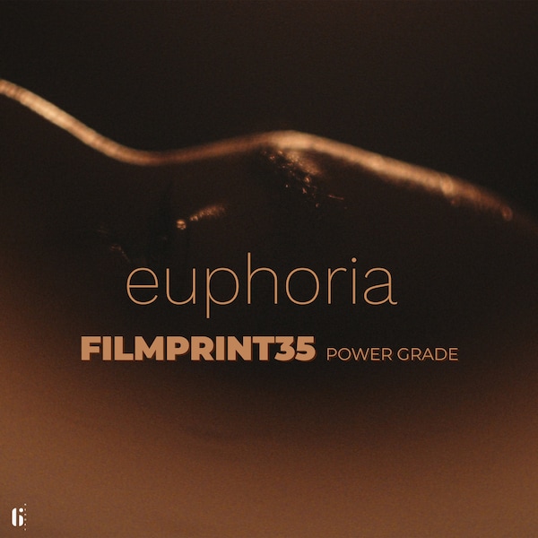 Euphoria Power Grade for Davinci Resolve - FILMPRINT35 Film Emulation Halation FX CST and Grain