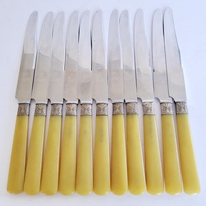 Könnte beinhalten: Ein Set aus elf silberfarbenen Metallmessern mit blassgelben, glatten, zylindrischen Griffen. Jedes Messer verfügt über eine dekorative Metallmanschette mit einem geometrischen fächerartigen Muster, wo der Griff auf die Klinge trifft.