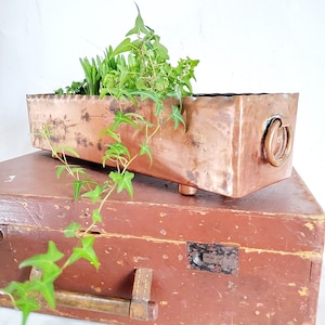 May include: A copper planter with a rustic finish sits on a wooden chest. The planter is filled with green ivy and other plants.