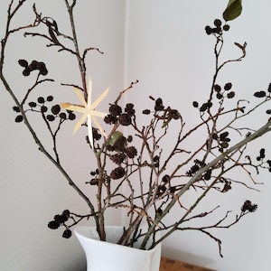 4 getrocknete Erlenzweige, 30-50 cm lang fr die Vase, Zweige mit  Mini-Zapfen, natrliche Deko, Basteln, Krnze, Herbstdeko, Weihnachtsdeko