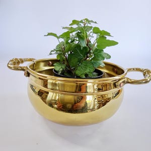 Puede incluir: Una jardinera de latón dorado brillante con dos asas ornamentadas. Contiene una pequeña maceta negra con una planta verde. La jardinera tiene forma redondeada y refleja el entorno. La planta tiene múltiples hojas.