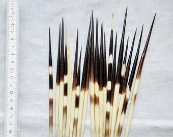 10-Pack Assorted Porcupine Quills For Jewelry Making, Hair Sticks, Weaving & Craft DIY 3 thumbnail image