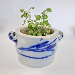Könnte beinhalten: Ein handgefertigter, hellblauer Keramik-Pflanztopf mit blauem, abstraktem Design und zwei Griffen. Der Topf enthält eine kleine grüne Pflanze mit mehreren Blättern. Der Topf ist rund und hat eine weite Öffnung.