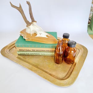 Könnte beinhalten: Eine rechteckige Messing-Tablett mit floralem Muster trägt einen Hirschschädel, drei braune Glasflaschen und Bücher. Die Bücher sind grün und beige. Das Tablett hat abgerundete Ecken.