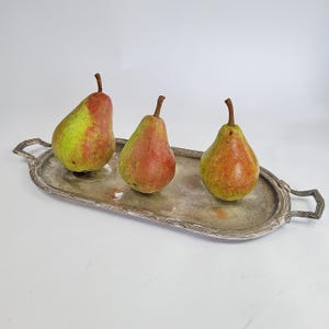 Könnte beinhalten: Drei reife Birnen mit roter und grüner Schale liegen auf einem Vintage-Silbertablett. Das Tablett hat Griffe und einen dekorativen Rand. Die Birnen sind in einer Reihe angeordnet und zeigen ihre natürlichen Farben und Texturen.