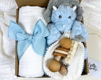 Baby boy gift, baby shower gift, new baby gift, baby gift box, Baby boy dinosaur gift