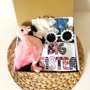 Sibling gift, Big sister, Big sister shirt, new sibling gift set, toddler gift