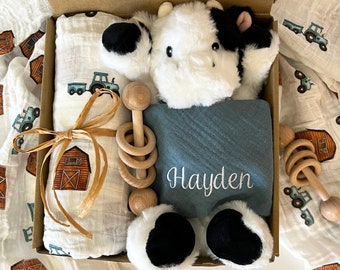 Baby boy gift, Newborn baby boy gift, Baby boy gift box, boy baby shower gift, farm baby gift