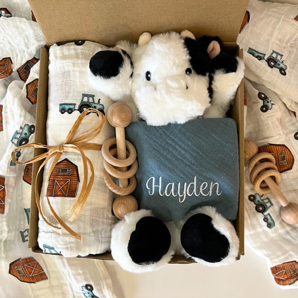 Baby boy gift, Newborn baby boy gift, Baby boy gift box, boy baby shower gift, farm baby gift