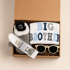 May include: A cardboard gift box containing a plush penguin toy, a white t-shirt with the text BIG BROTHER in blue and grey, a white ribbon printed with Best Big Brother and a teddy bear graphic, and a pair of cream-colored sunglasses with dark lenses.