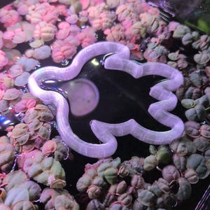 May include: A translucent, light purple, abstract shape floats on the surface of dark water, surrounded by small, pink and green aquatic plants. The shape appears to be a decorative element or a design feature within an aquarium or similar setting.