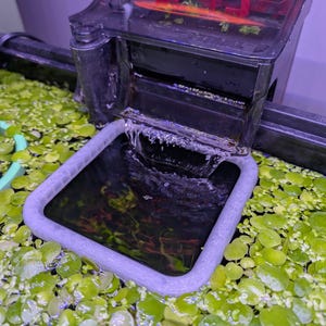 May include: A black aquarium filter with a clear lid and a gray plastic water dish. The filter has a red handle and the water dish is filled with water.