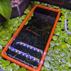 May include: An orange rectangular frame submerged in water, surrounded by green aquatic plants. The frame encloses a section of water with submerged plants and a blue LED light strip. The scene suggests an aquarium or aquatic environment.