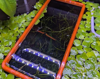 The ORIGINAL NEVER SINK 10 Inch Rectangle Aquarium Plant Corral / Feeding Ring