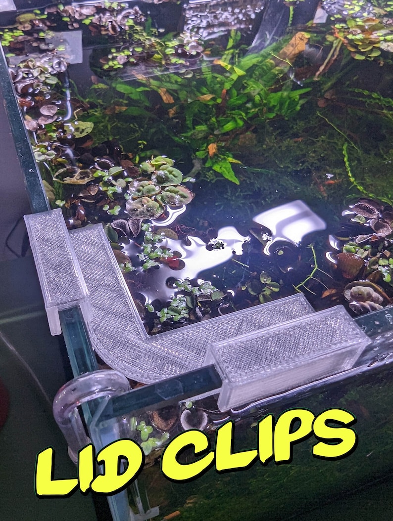 May include: Close-up of a clear plastic lid clip for a fish tank. The clip is attached to the edge of the tank and has a clear plastic design. The text "LID CLIPS" is written in yellow letters on the bottom of the image.