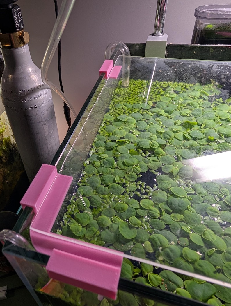 May include: A close-up of a glass aquarium with a pink plastic corner brace. The aquarium is filled with water and green plants.
