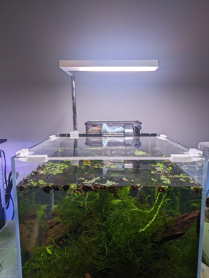May include: A clear glass aquarium with a light fixture above it. The aquarium is filled with water and plants, including a large piece of driftwood. The aquarium is sitting on a table.
