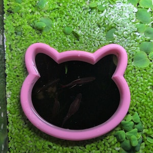 May include: A pink cat-shaped container floats in a tank filled with green aquatic plants. Several small fish swim in the dark water within the container. The scene is brightly lit, showcasing the contrast between the pink, green, and dark water.