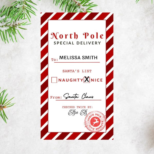 Printable North Pole Special Delivery Tag, Editable Santa Gift Tags, North Pole Gift Tag Template, Gift From Santa Tag, Instant Download