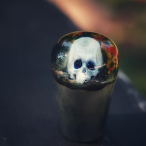 May include: A skull-shaped decorative object. The skull is white with dark blue eye sockets, encased in a clear, rounded resin. The base is a metallic gray color. The resin reflects colorful foliage.