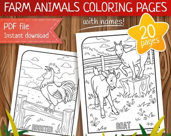 ENGLISH version - Cute farm animals coloring pages - 20 hand drawn illustrations - Printable PDF file - Instant download