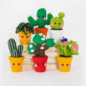 May include: A selection of handmade knitted cacti and other plants in colourful pots. The plants include a variety of styles, such as a cactus, a tree with flowers, and a Venus flytrap. The pots are yellow, orange, red, and white.