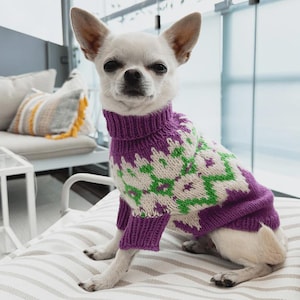May include: A small white dog wearing a purple and green patterned sweater with a turtleneck collar. The dog is sitting on a striped cushion, with a neutral background.
