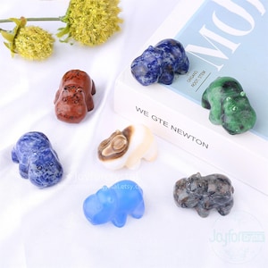 May include: A collection of small, carved stone hippopotamus figurines in various colors, including blue, green, brown, and white. The figurines are arranged on a white surface, with a book that reads "WE GTE NEWTON" in the background.