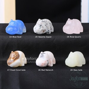 May include: A collection of six small, carved hippo figurines. The hippos are made from various gemstones, including blue opal, sesame jasper, rose quartz, fossil coral jade, red network, and new jade. Each figurine is labeled with its material.