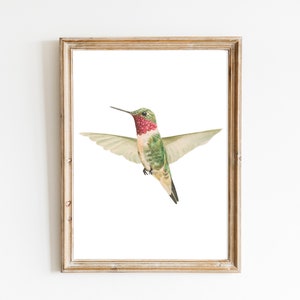 Hummingbird Watercolor Print