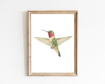 Hummingbird Watercolor Print