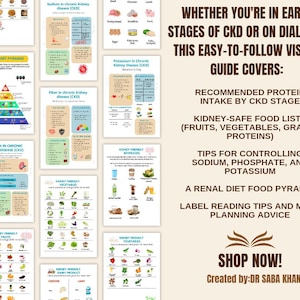 Renal Diet Printables | Kidney-Friendly Meal Plans, Nutrition Guides & CKD Resources, Planner