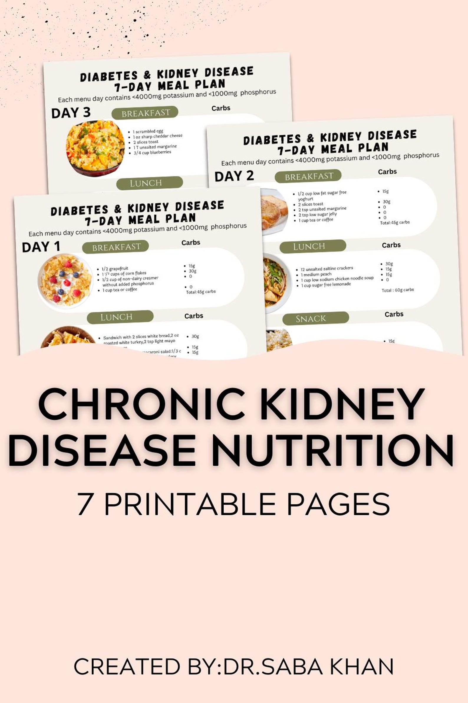 Diabetes and CKD Meal Plan Printable Renal Diet and Diabetic Friendly ...