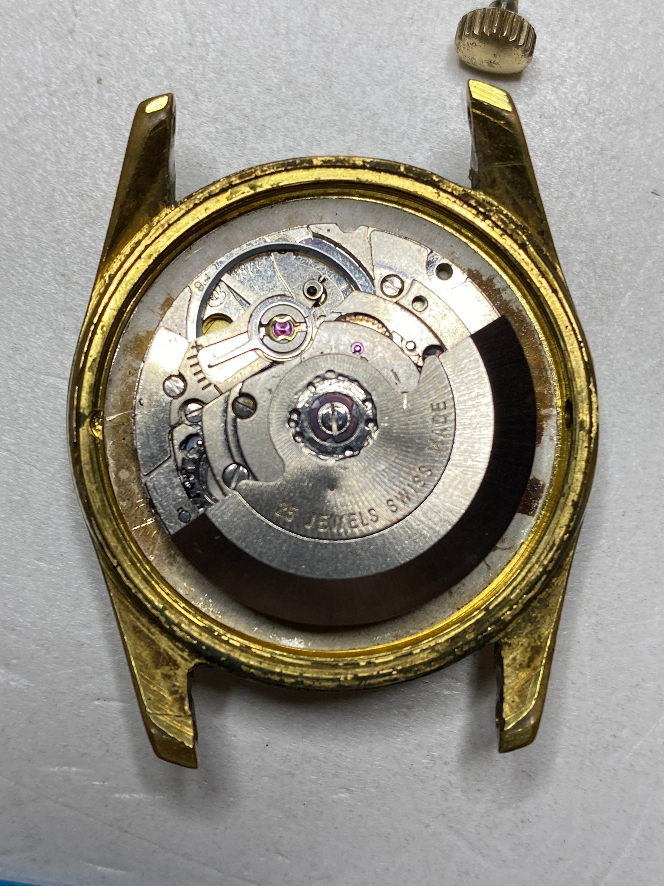 In House Vs ETA Movements (The Truth)