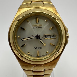 Citizen eco drive wr100 gold best sale