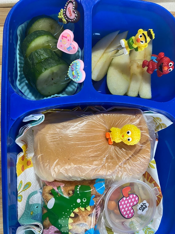 Back to School Food Picks for Kids, Bento Food Picks, Bento Lunchbox, Mini  Forks, Kids Lunch Picks, Lunch Bite Picks for Picky Eaters 