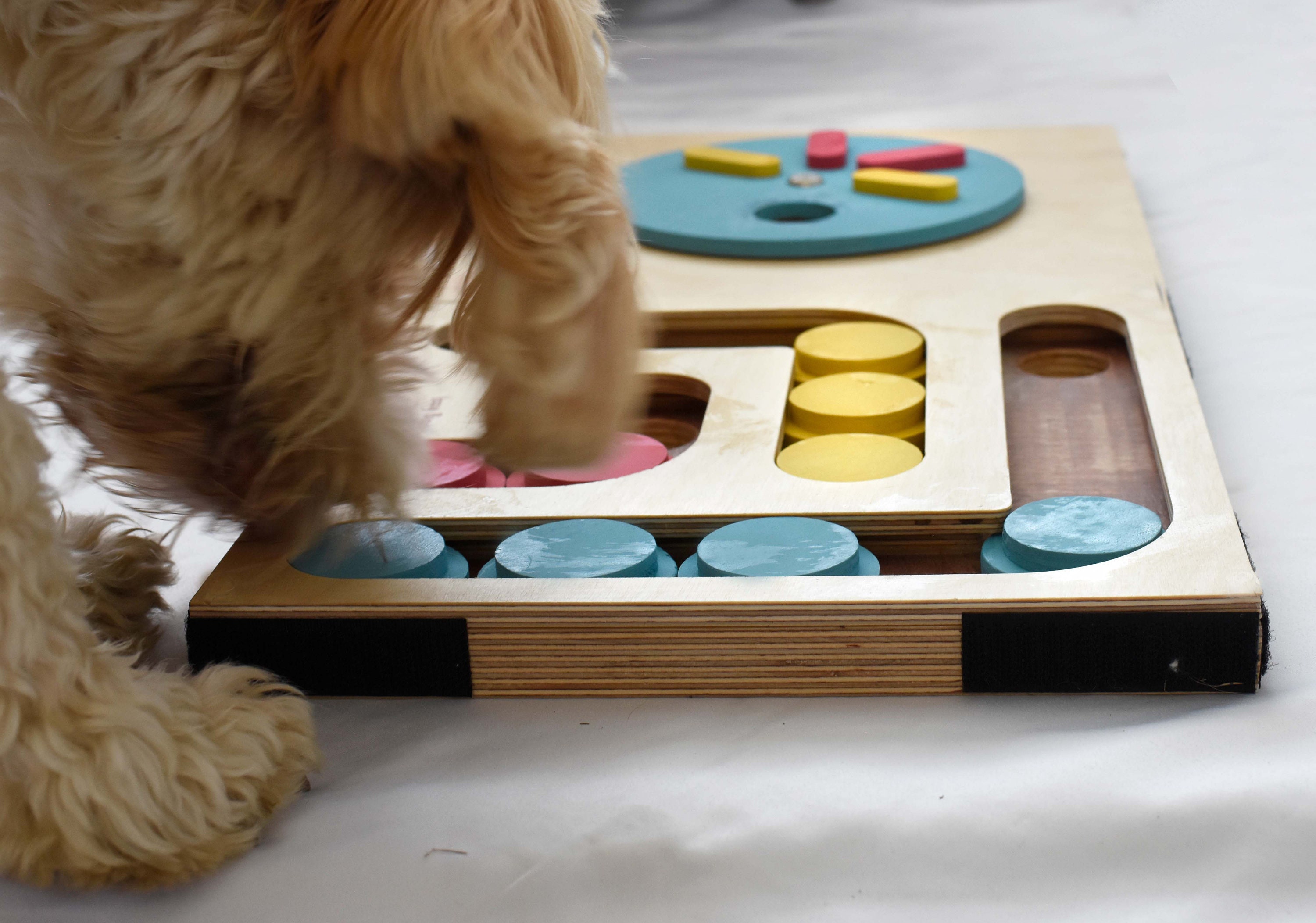 Wooden Dog Toy Puzzle Challenging Dog Toys Obedience Dog Training