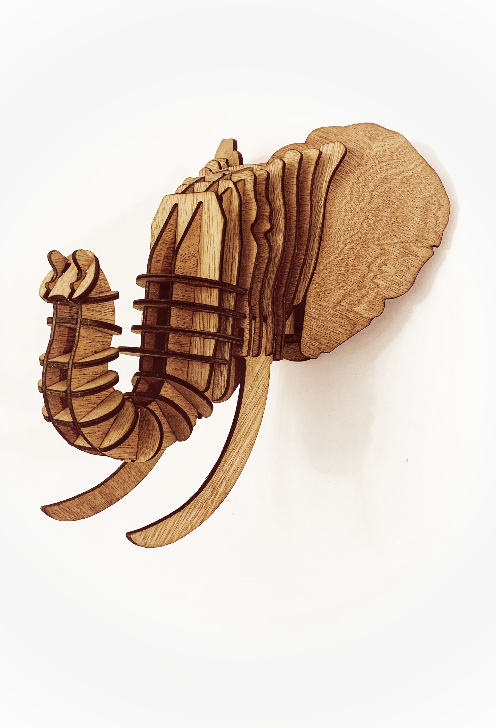 Têtes d'animaux Stylisées en Bois